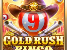 Bingo Free Slot:West Hunter Bingo win mega prize!